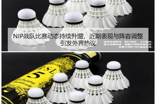 NIP战队比赛动态持续升温，近期表现与阵容调整引发外界热议